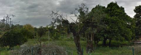 Quinta com 9788m2 de Terreno em Coruche