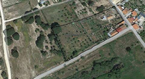 Quinta com 9788m2 de Terreno em Coruche