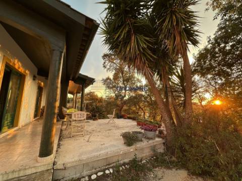 Moradia T4 Batalha-Torre