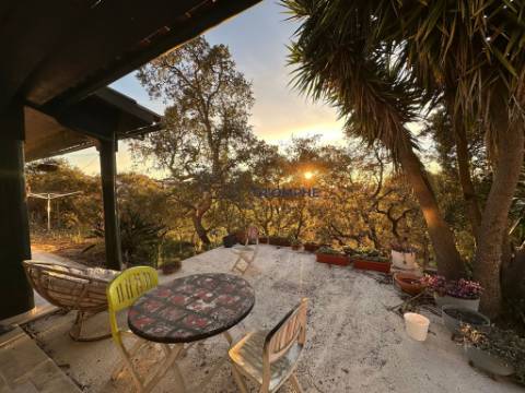 Moradia T4 Batalha-Torre