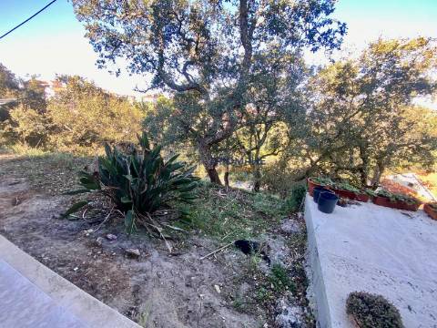 Moradia T4 Batalha-Torre