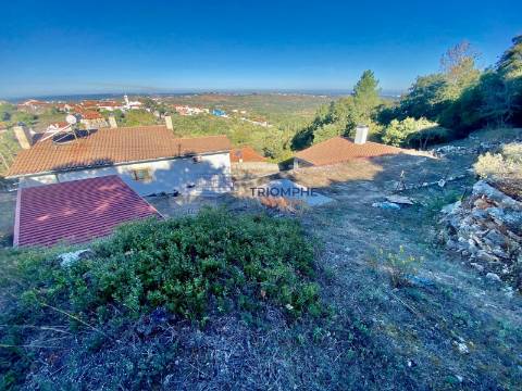 Moradia T4 Batalha-Torre