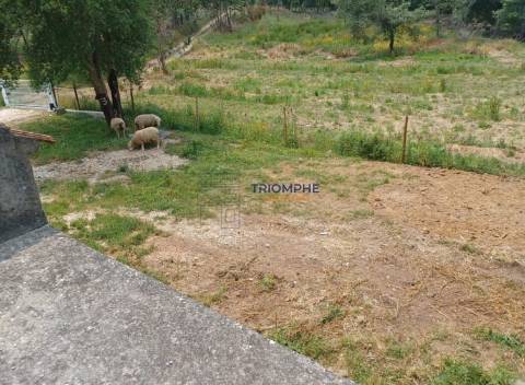 Moradia T1 Ferreira do Zêzere 