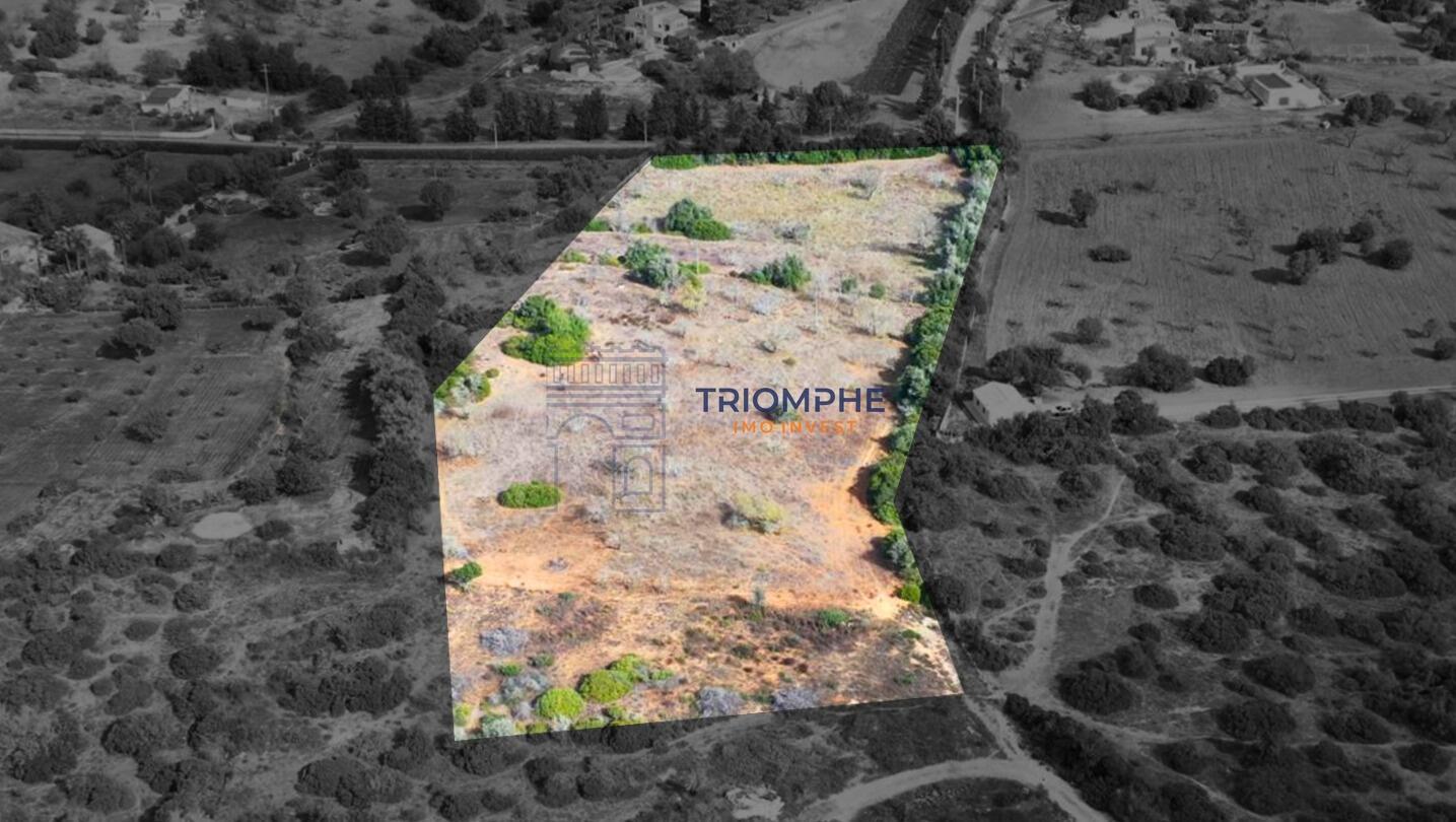 Terreno rústico de 15 000 m² em Estômbar