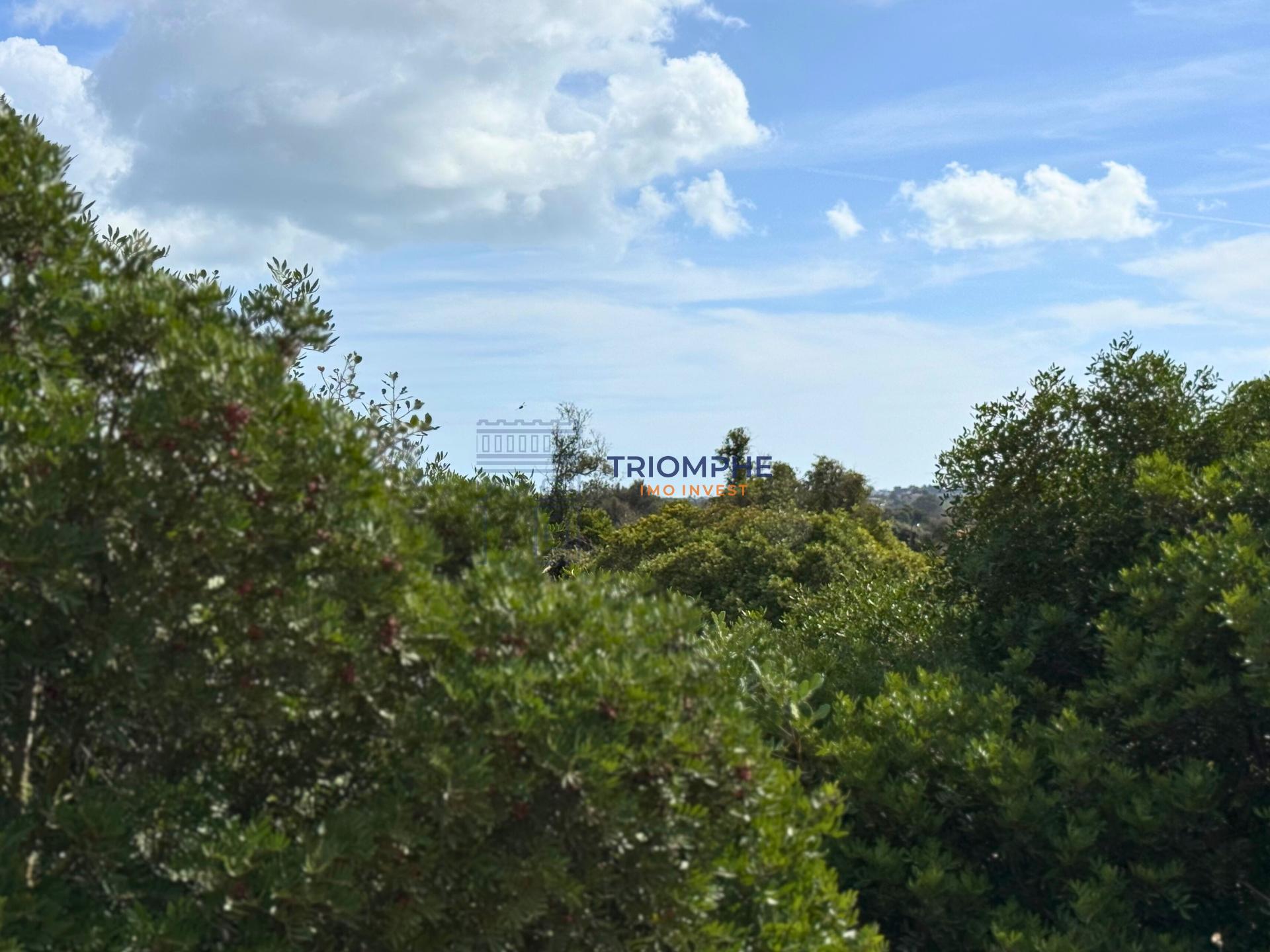 Terreno rústico de 15 000 m² em Estômbar