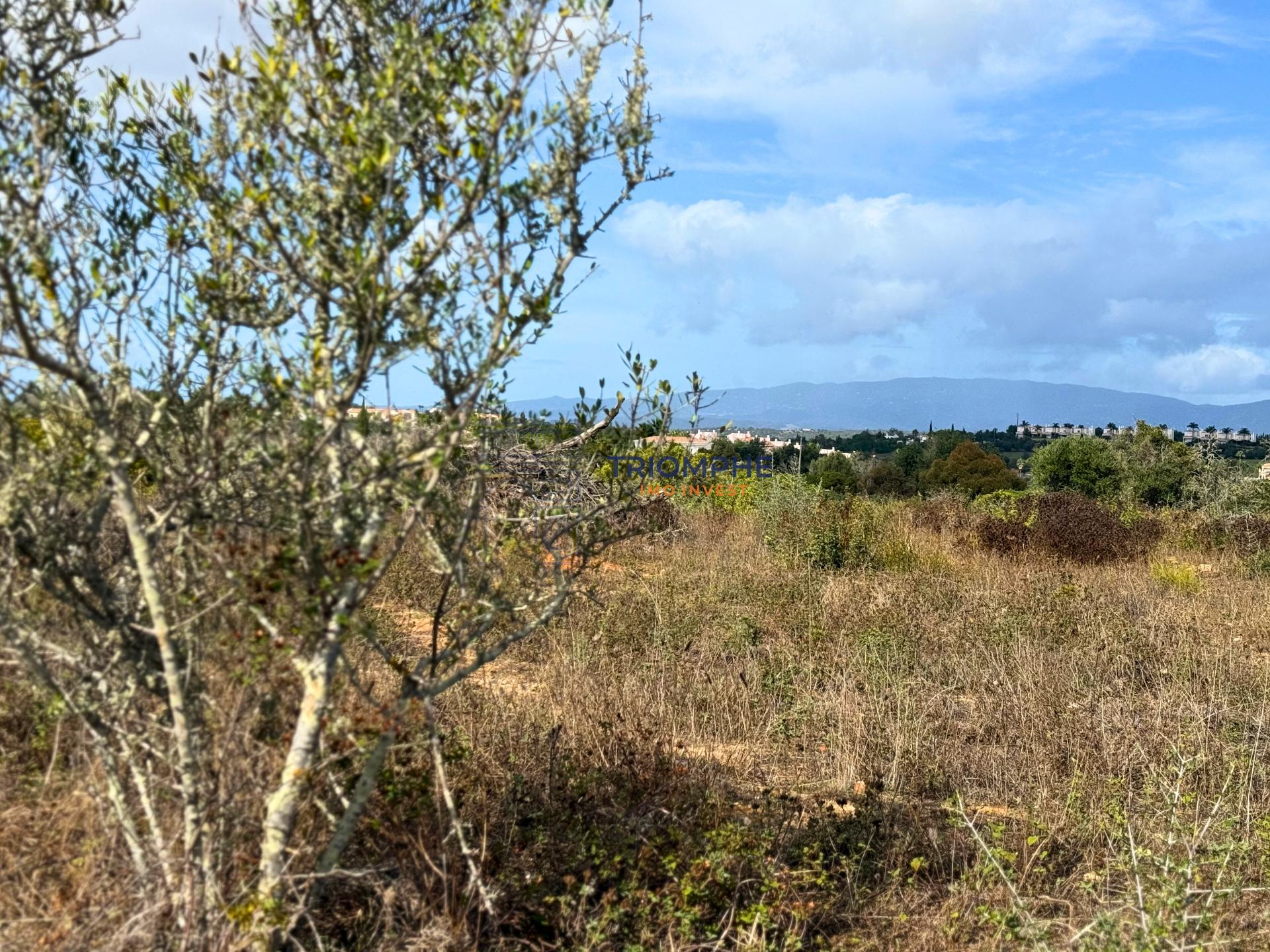 Terreno rústico de 15 000 m² em Estômbar