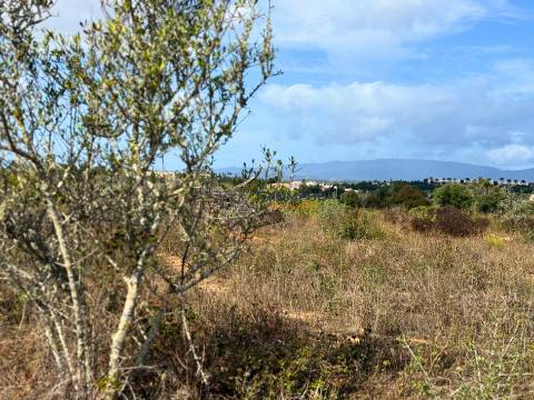 Terreno rústico de 15 000 m² em Estômbar