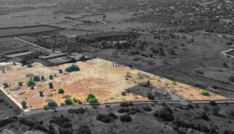 Terreno rústico de 35 000 m² em Carvoeiro