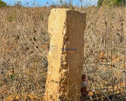 Terreno rústico de 35 000 m² em Carvoeiro