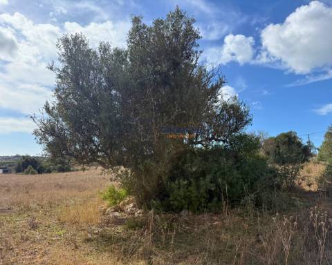 Terreno rústico de 35 000 m² em Carvoeiro
