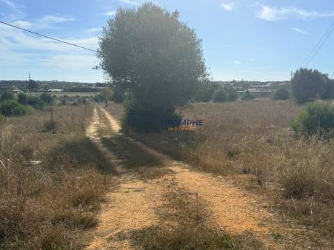 Terreno rústico de 35 000 m² em Carvoeiro