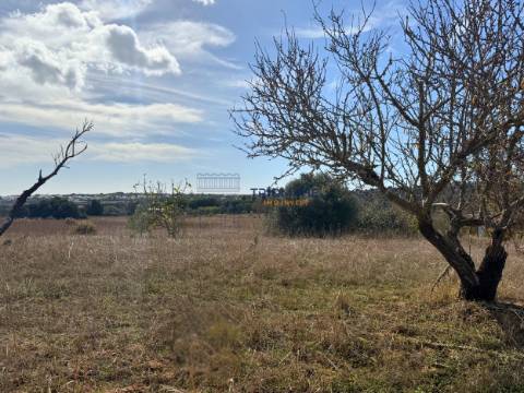 Terreno rústico de 35 000 m² em Carvoeiro