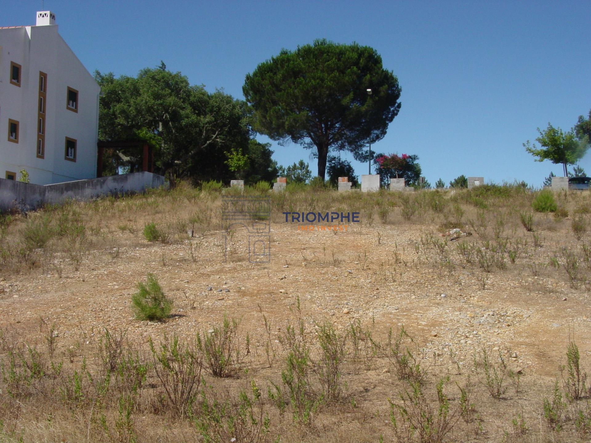 Terreno Urbano Constância 