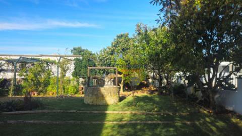 Moradia T4+1 Tomar, terreno de 1140m2