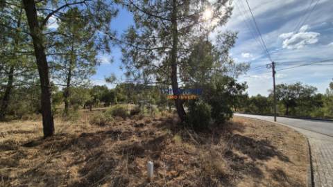 Terreno Urbano - Constância