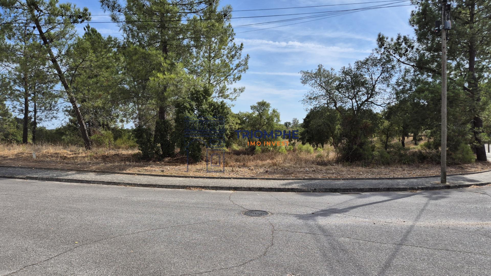 Terreno Urbano - Constância