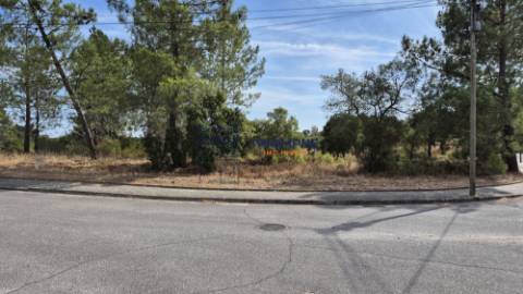 Terreno Urbano - Constância