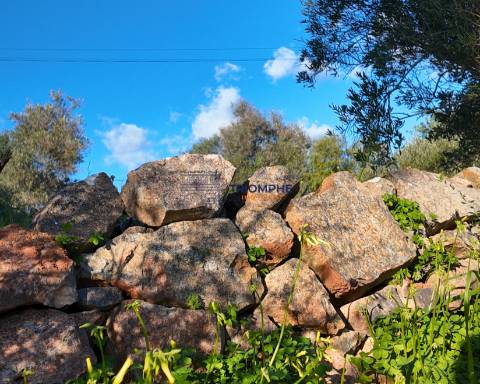 Terreno construtível com elevado potencial – Silves