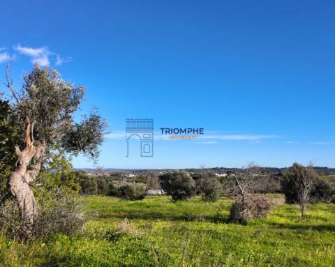 Terreno construtível com elevado potencial – Silves