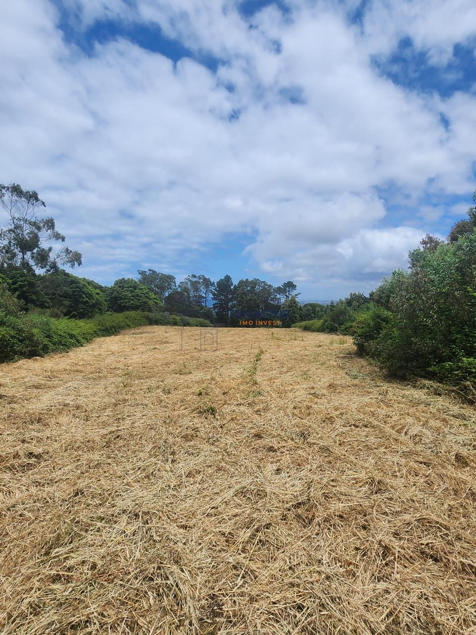 Terreno em Colares - Sintra 
