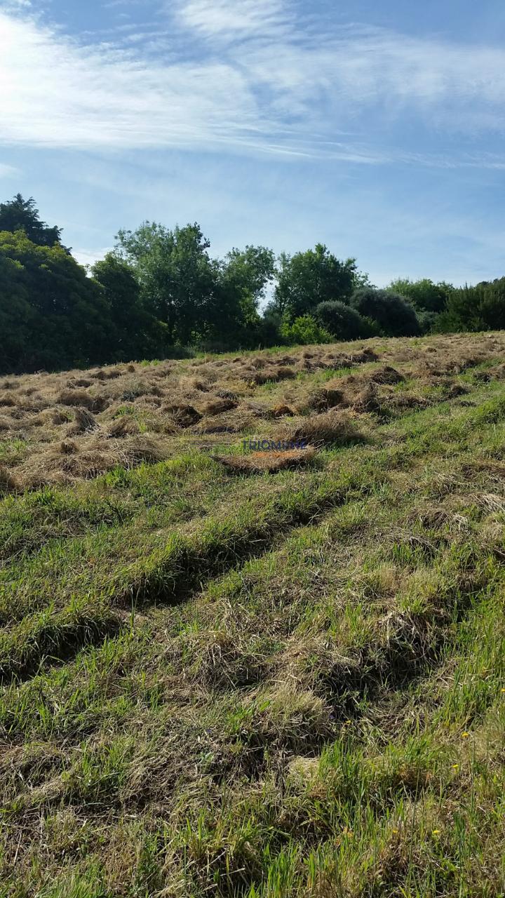 Terreno em Colares - Sintra 
