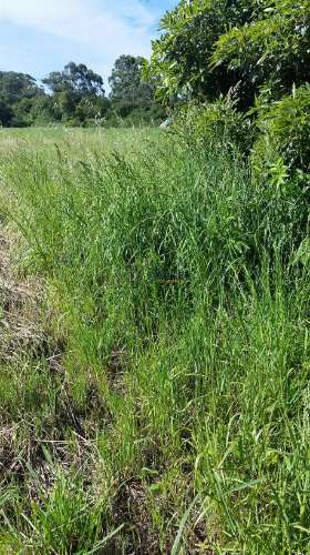 Terreno em Colares - Sintra 