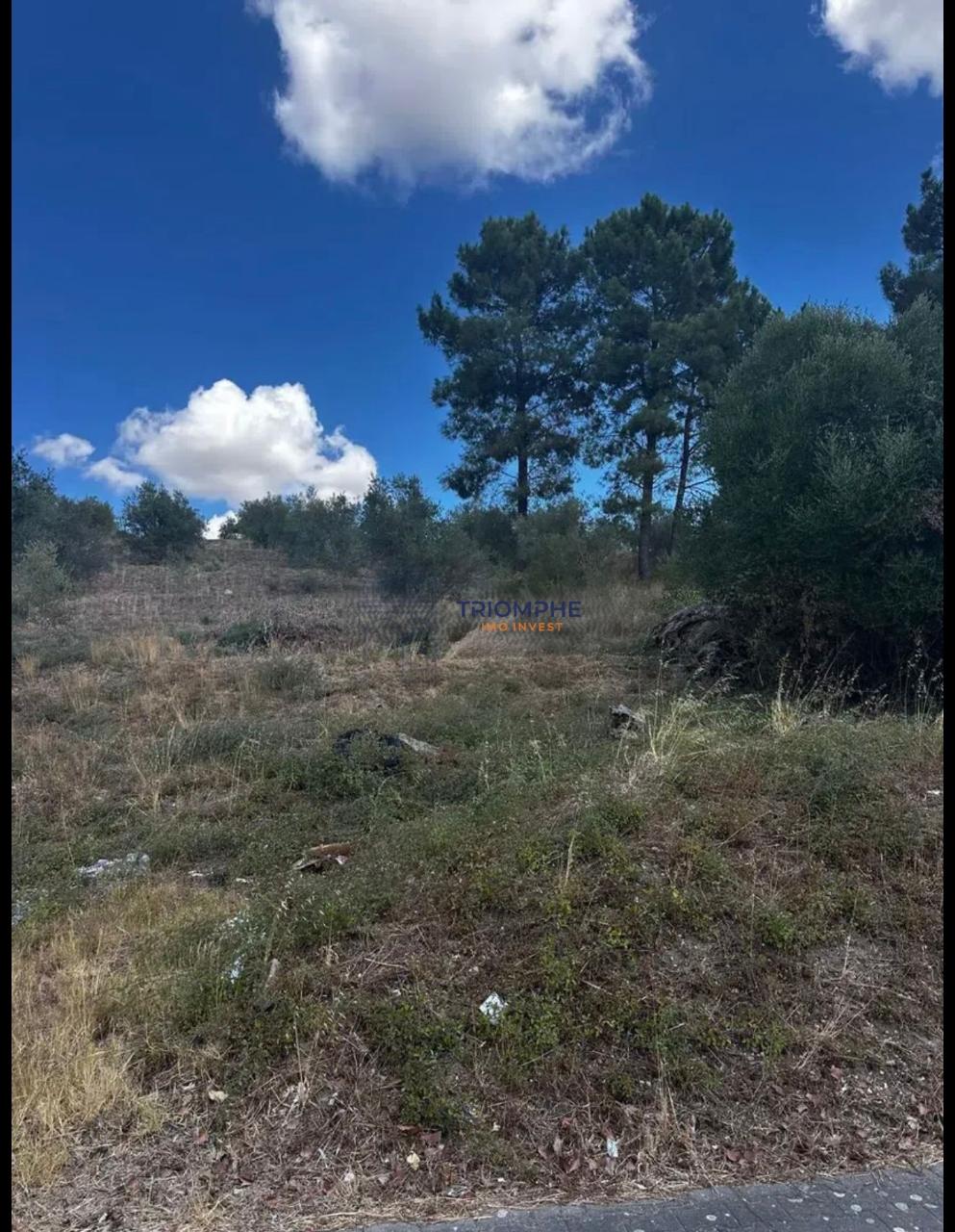Terreno Urbano para Construção - Cardal 