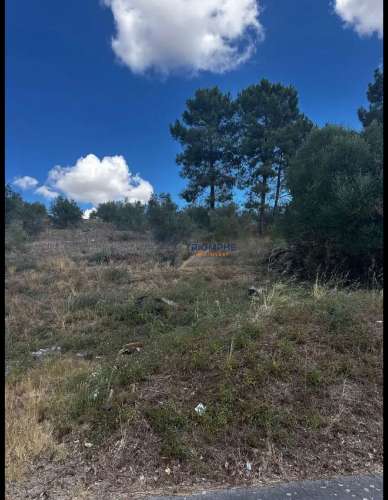 Terreno Urbano para Construção - Cardal 