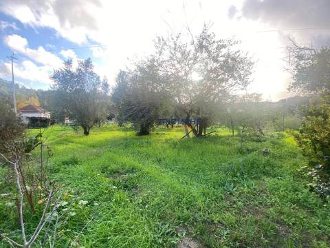 Moradia T4 Gondemaria e Olival