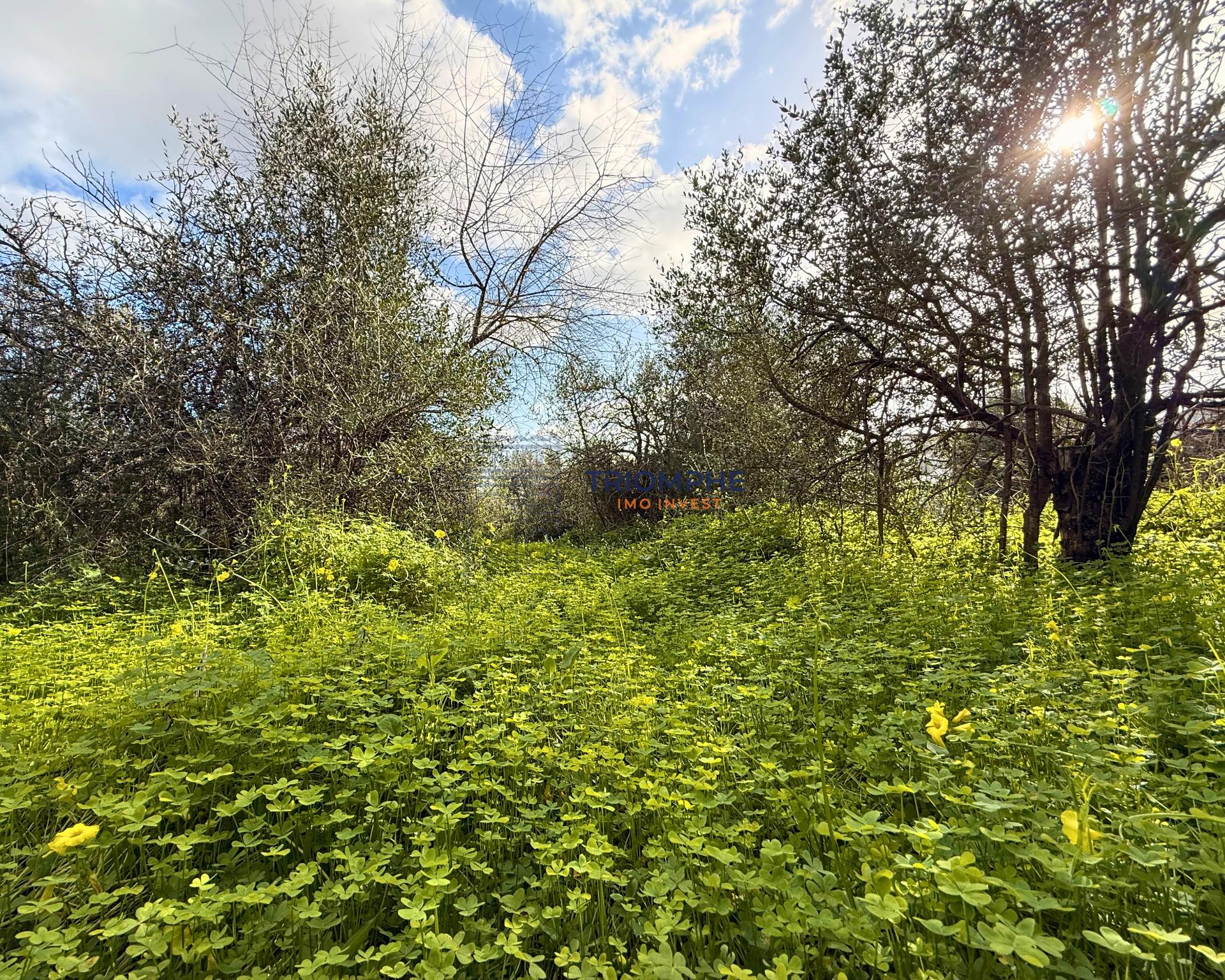 Terreno para Construção de 1.260 m² em Alcantarilha