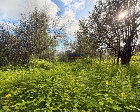Terreno para Construção de 1.260 m² em Alcantarilha