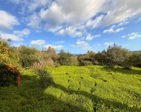Terreno para Construção de 1.260 m² em Alcantarilha