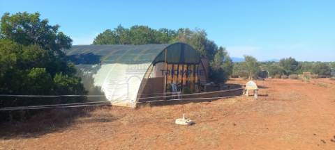 Terreno 81600 m2 - Lagos