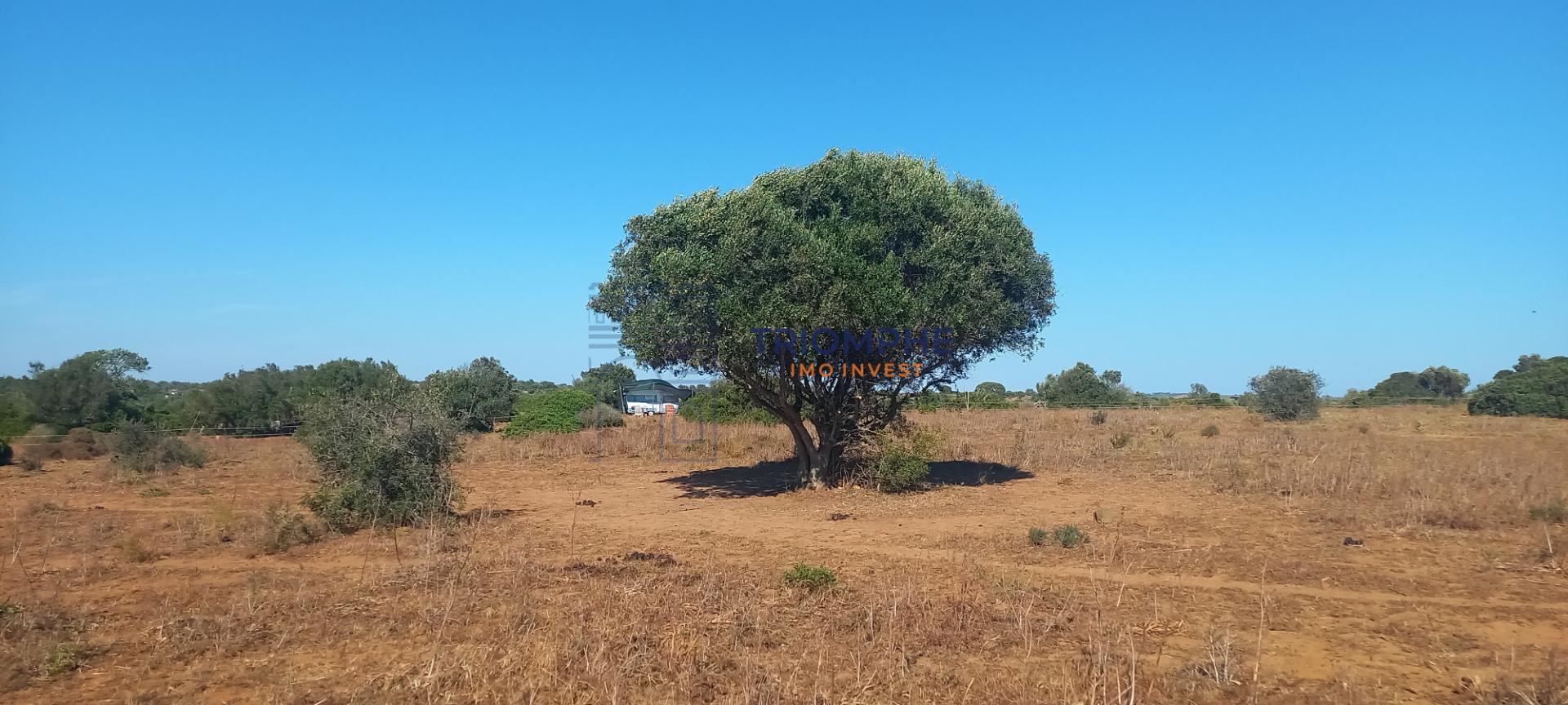 Terreno 81600 m2 - Lagos