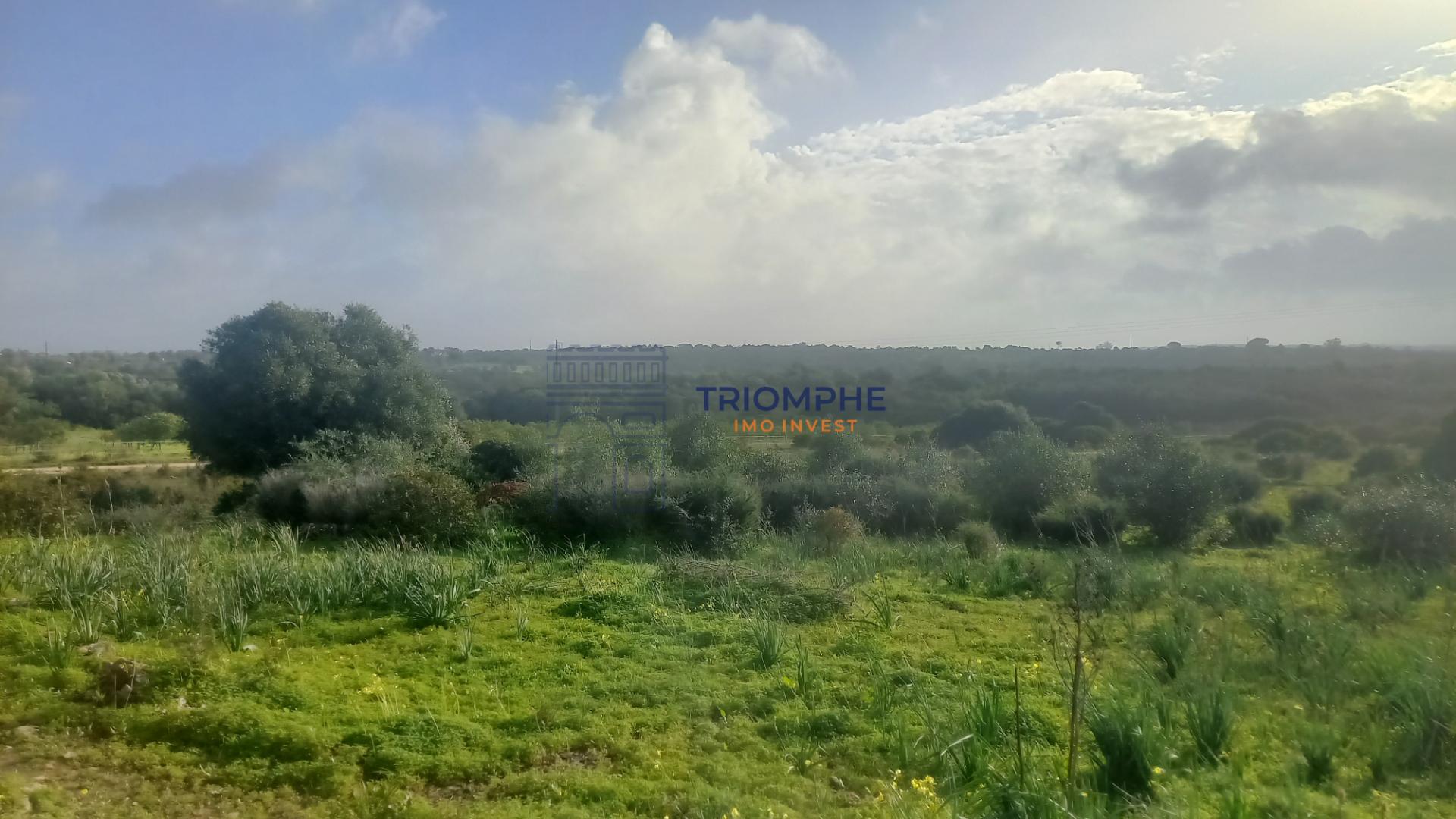 Terreno 81600 m2 - Lagos