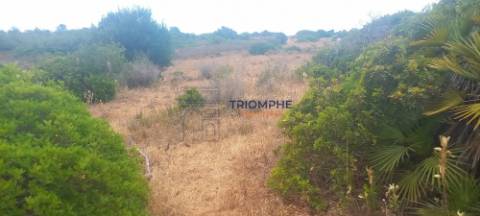 Terreno 81600 m2 - Lagos