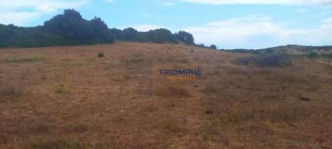 Terreno 81600 m2 - Lagos