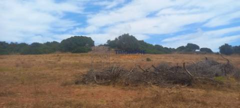 Terreno 81600 m2 - Lagos