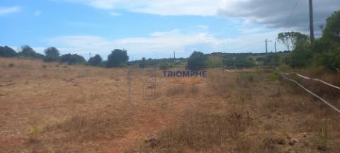 Terreno 81600 m2 - Lagos