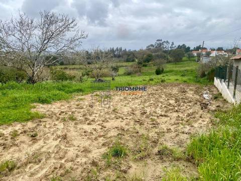 Terreno c/ projeto aprovado, Cela, Alcobaça
