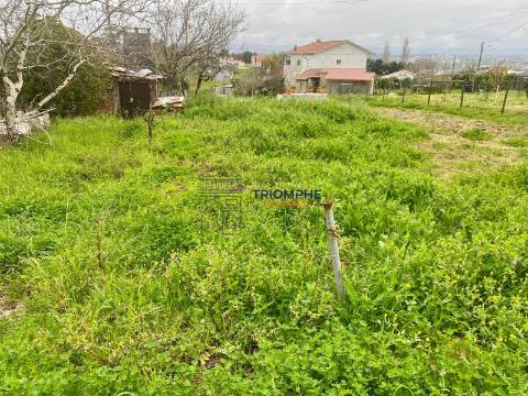 Terreno c/ projeto aprovado, Cela, Alcobaça