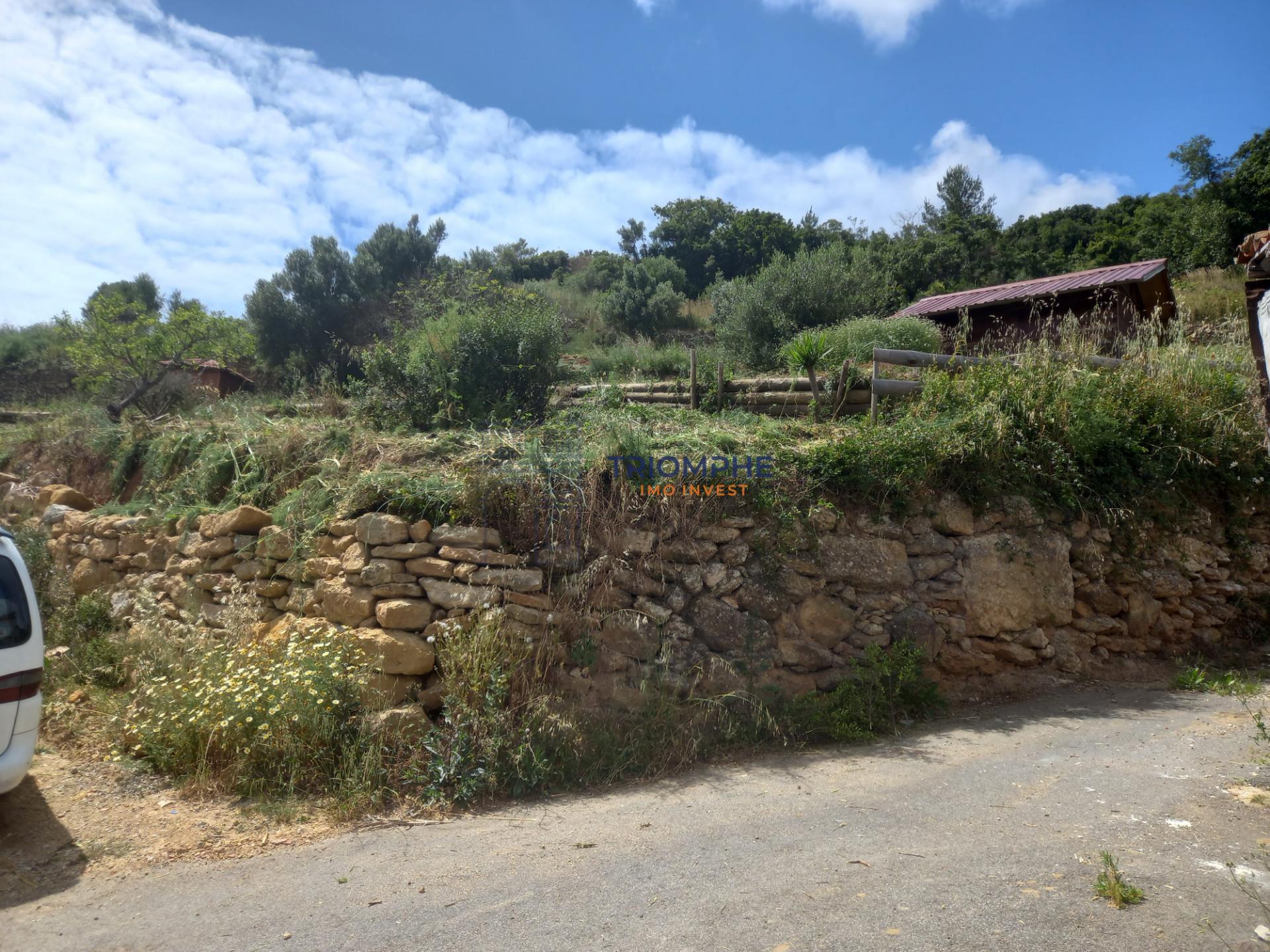 Quinta com 6305m2 Igreja Nova e Cheleiros, Mafra