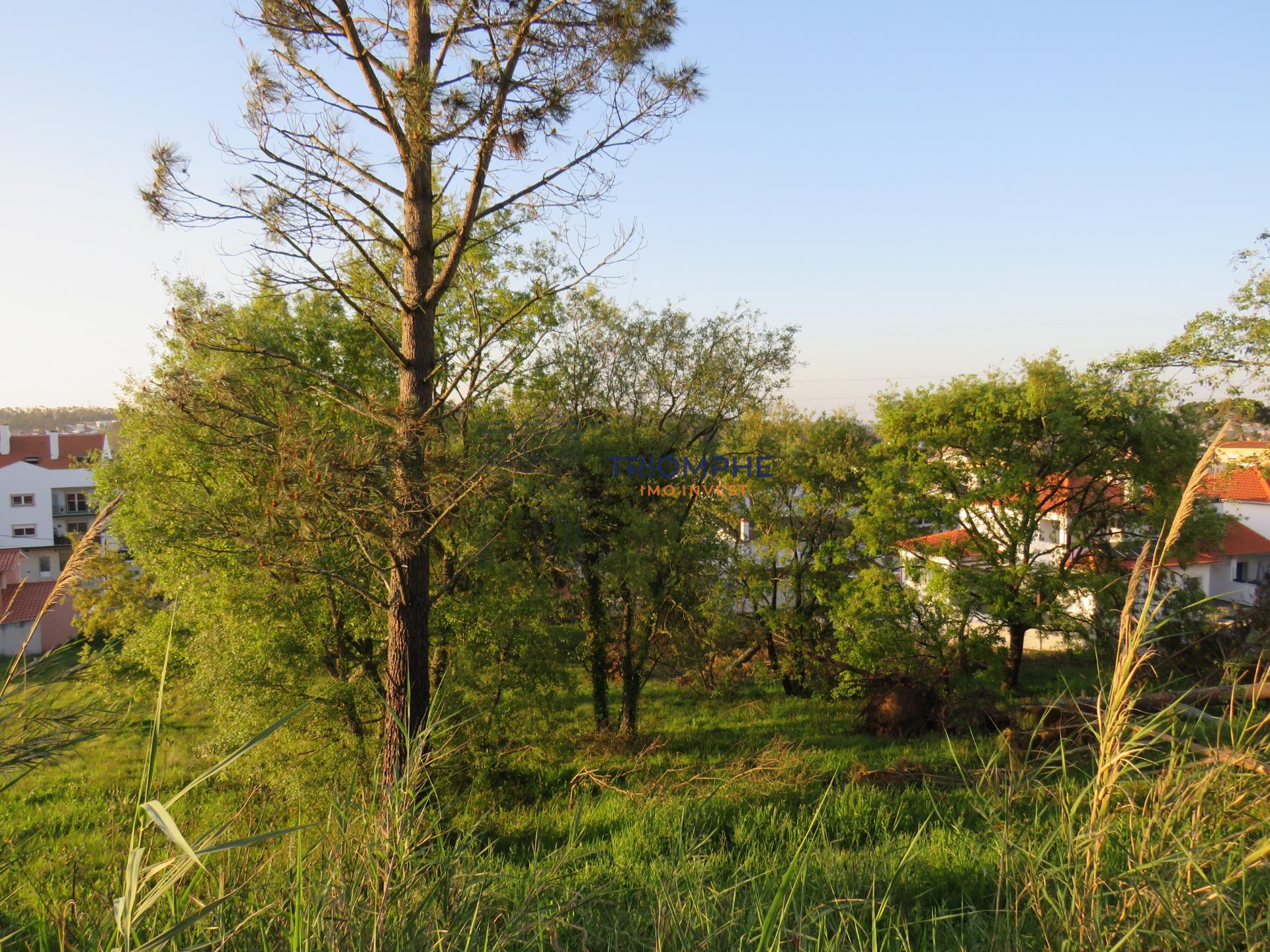 Terreno Urbanizável em Parceiros, Leiria com 1640 m2