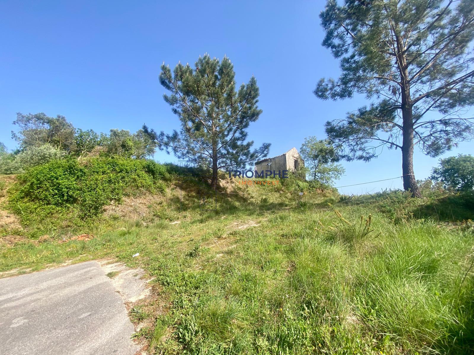 Terreno com Projeto Aprovado para 8 Moradias Geminadas T3 – Batalha