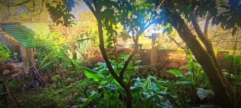 Moradia T2 + 1 com pequena Quinta, Alvorge, Ansião