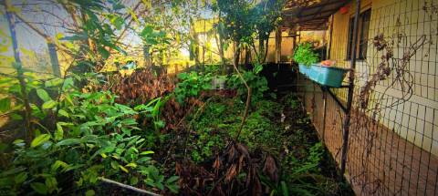 Moradia T2 + 1 com pequena Quinta, Alvorge, Ansião