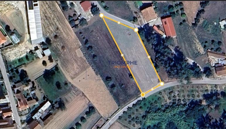 Terreno Rústico 1800M2 - Ortigosa 