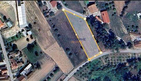 Terreno Rústico 1800M2 - Ortigosa 