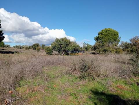 Terreno Rústico de 25.000 m² - Lagos