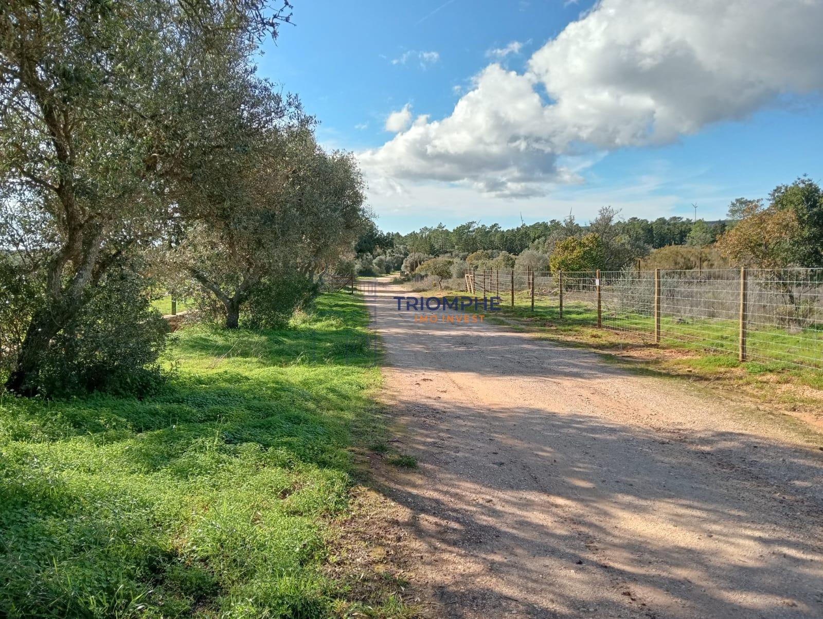 Terreno Rústico de 25.000 m² - Lagos